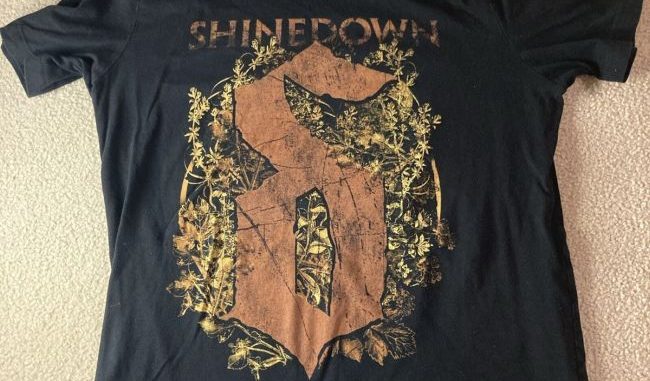 Exclusive Insights: Behind the Scenes of Shinedown's Official Store